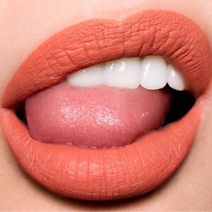 Melt Cosmetics Liquid  Lipstick in EX New in Box